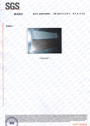 91短视频在线下载檢查報告SGS（中）